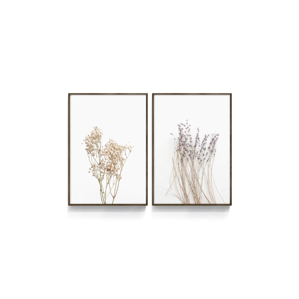 Quadro Botânico Duo
